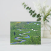 East River nabij de stad Crested Butte. Briefkaart (Staand voorkant)
