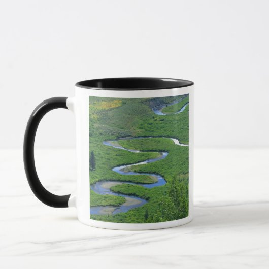 East River nabij de stad Crested Butte. Mok (Links)