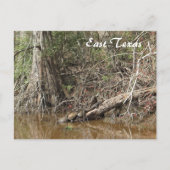 East Texas Briefkaart (Voorkant)