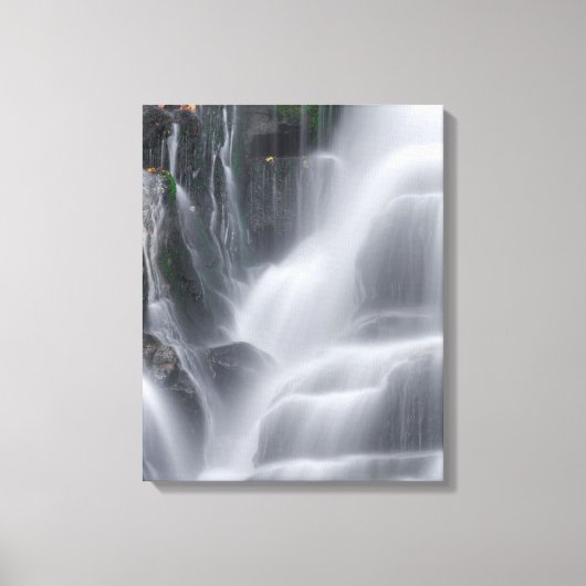 Eastatoe Herfsten Canvas Afdruk (Voorkant)