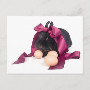 Easter Bunny Feestdagenkaart