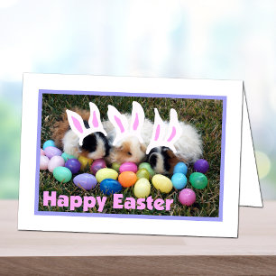 Easter Bunny Guinea Pig Card Feestdagen Kaart