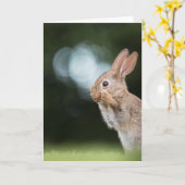 Easter Bunny Nature Photo Kaart (Gele Bloem)