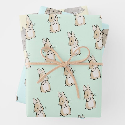 Easter bunny set inpakpapier vel (In situ)