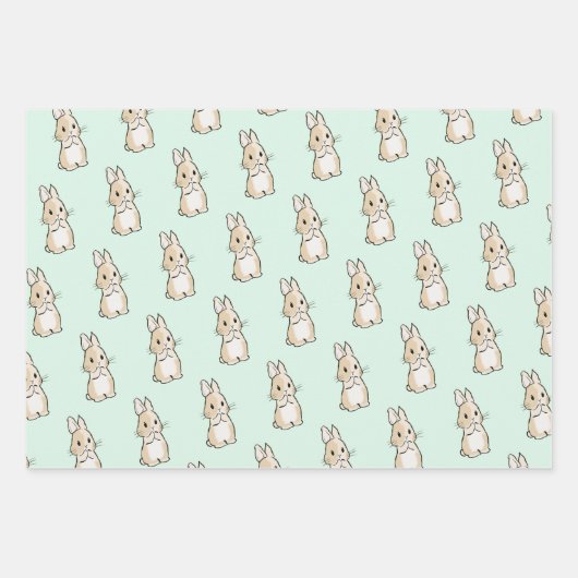 Easter bunny set inpakpapier vel (Voorkant)