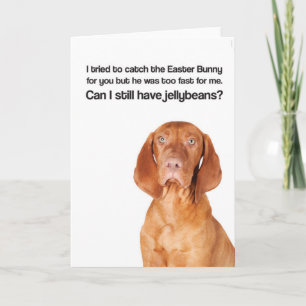 Easter Bunny Was Too Fast (Vizsla) - Greeting Card Feestdagen Kaart