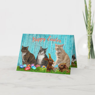 Easter Card - Cats and Bunnies Feestdagen Kaart