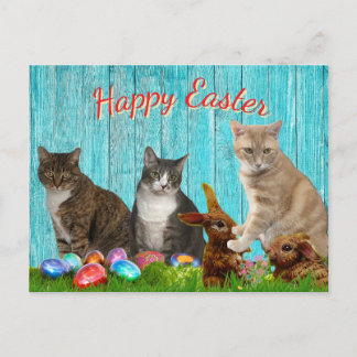 Easter Card - Cats and Bunnies Feestdagenkaart
