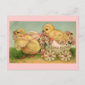  Easter Chicks Briefkaart (Voorkant)