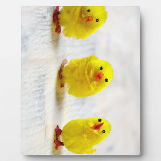 Easter Decoration - chicks in a row Fotoplaat (Voorkant)