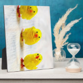 Easter Decoration - chicks in a row Fotoplaat (Zijkant)
