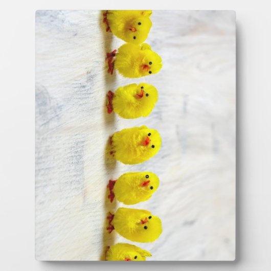Easter Decoration - chicks in a row Fotoplaat (Voorkant)