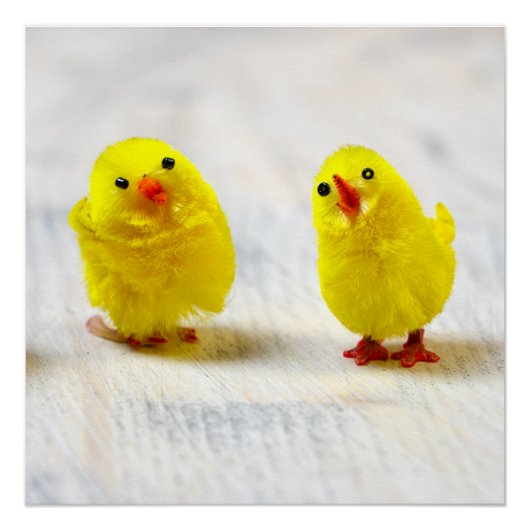 Easter Decoration - chicks in a row Perfect Poster (Voorkant)