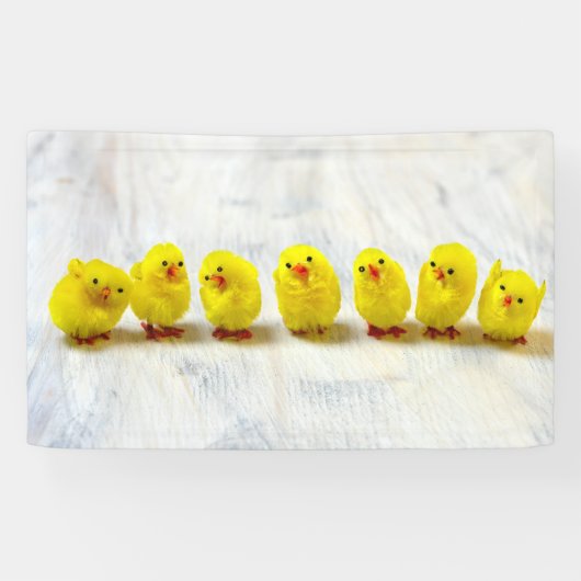 Easter Decoration - chicks in a row Spandoek (Horizontaal)