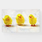 Easter Decoration - chicks in a row Spandoek (Horizontaal)
