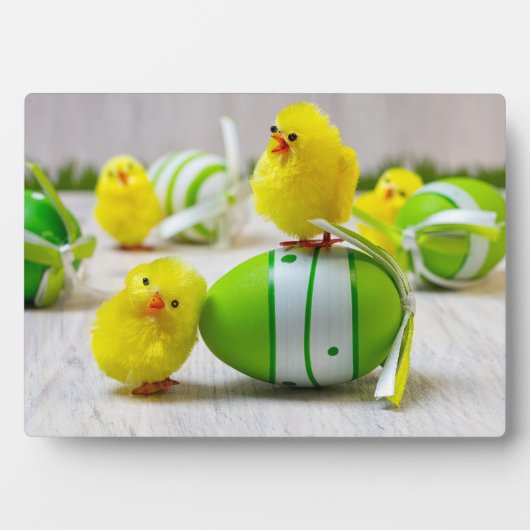 Easter Decoration - Easter egg and chicks Fotoplaat (voorkant)