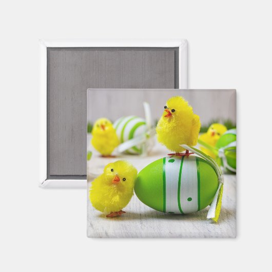 Easter Decoration - Easter egg and chicks Magneet (Voorkant / Achterkant)
