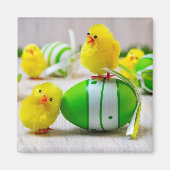 Easter Decoration - Easter egg and chicks Magneet (Voorkant)
