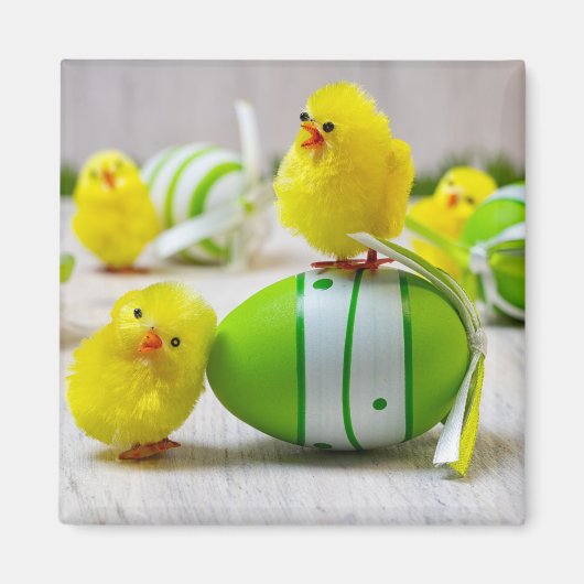 Easter Decoration - Easter egg and chicks Magneet (Voorkant)