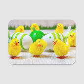 Easter Decoration - Easter egg and chicks Naamplaatje (Voorkant)