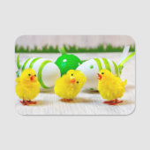 Easter Decoration - Easter egg and chicks Naamplaatje (Voorkant)