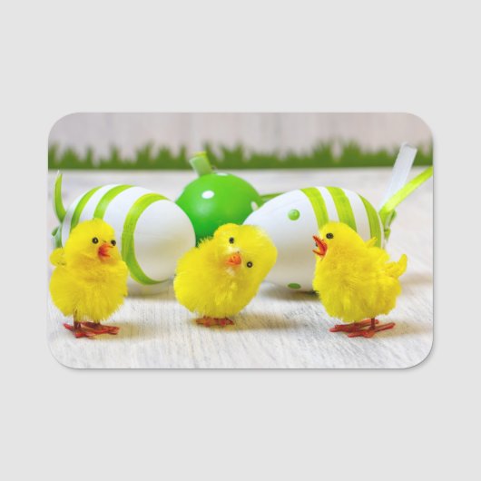 Easter Decoration - Easter egg and chicks Naamplaatje (Voorkant)