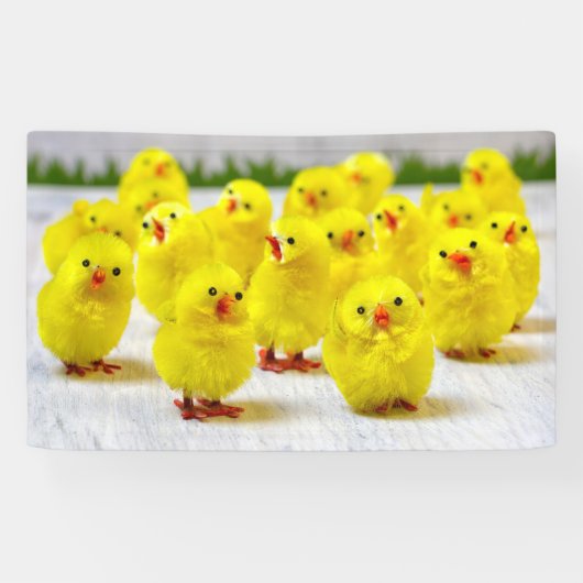 Easter Decoration Group of chicks Spandoek (Horizontaal)