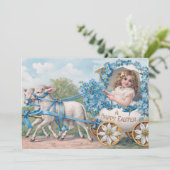 Easter egg carriage ride with lambs kaart (Staand voorkant)