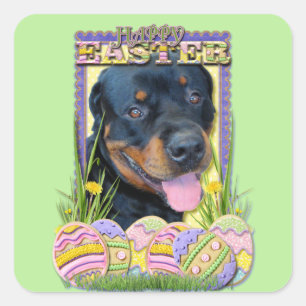 Easter Egg Cookies - Rottweiler - Harley Vierkante Sticker