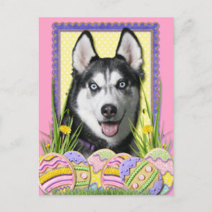 Easter Egg Cookies - Siberian Husky Feestdagenkaart