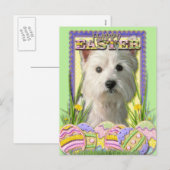 Easter Egg Cookies - West Highland Terrier Feestdagenkaart (Voorkant / Achterkant)