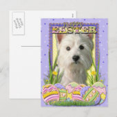 Easter Egg Cookies - West Highland Terrier Feestdagenkaart (Voorkant / Achterkant)