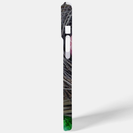 Easter Egg iPhone / iPad case (Achterkant / Links)