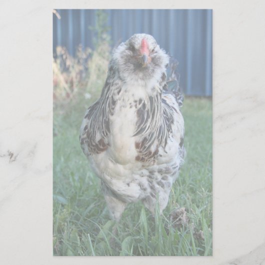 Easter Egger Rooster Briefpapier (Voorkant)