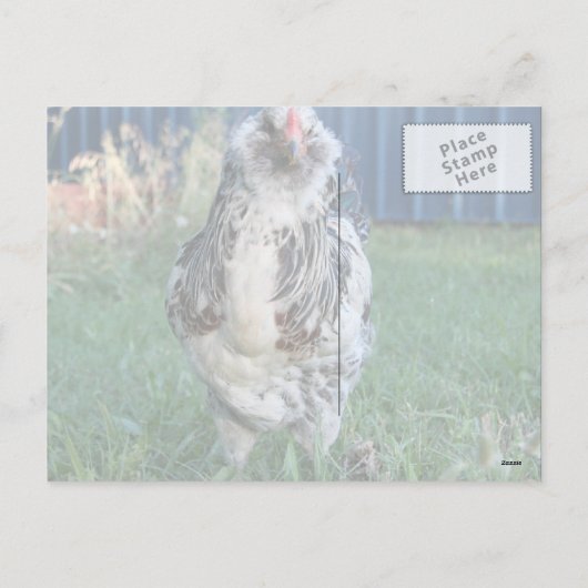 Easter Egger Rooster Feestdagenkaart (Achterkant)