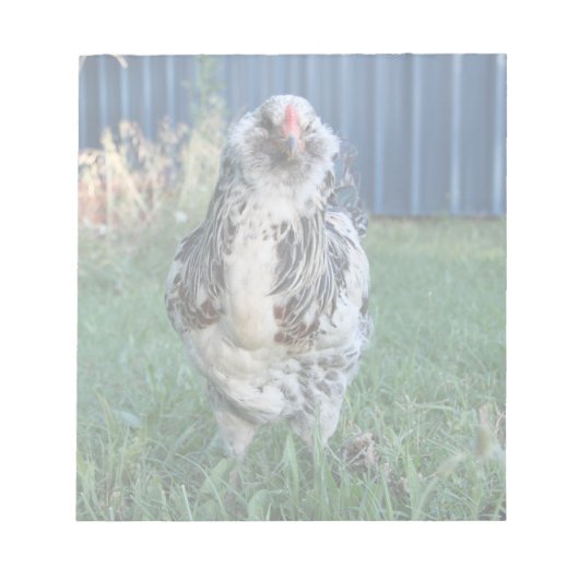 Easter Egger Rooster Notitieblok (Voorkant)