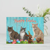 Easter Flat Card - Cats and Bunnies Feestdagenkaart (Staand voorkant)