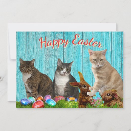 Easter Flat Card - Cats and Bunnies Feestdagenkaart (Voorkant)
