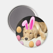 Easter Golden Retriever Magneet (Voorkant / Achterkant)