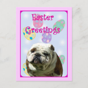 Easter Greetings Bulldog postcard Feestdagenkaart