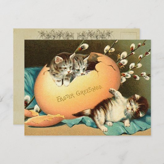 Easter Kitten Briefkaart (Voorkant / Achterkant)