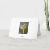 Easter Lily Custom Text Easter Kaart (Achterkant)