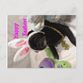 Easter Pug-briefkaart Feestdagenkaart (Voorkant)