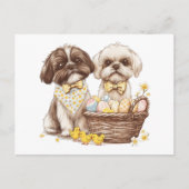 Easter Shih Tzu Dogs Feestdagenkaart (Voorkant)