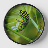 Eastern Black Swallowtail Caterpillar Clock (Voorkant)
