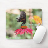 Eastern Black Swallowtail op Cone Flower Muismat (Met muis)