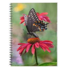 Eastern Black Swallowtail op Cone Flower Notitieboek