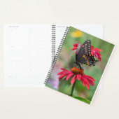 Eastern Black Swallowtail op Cone Flower Planner (Display)