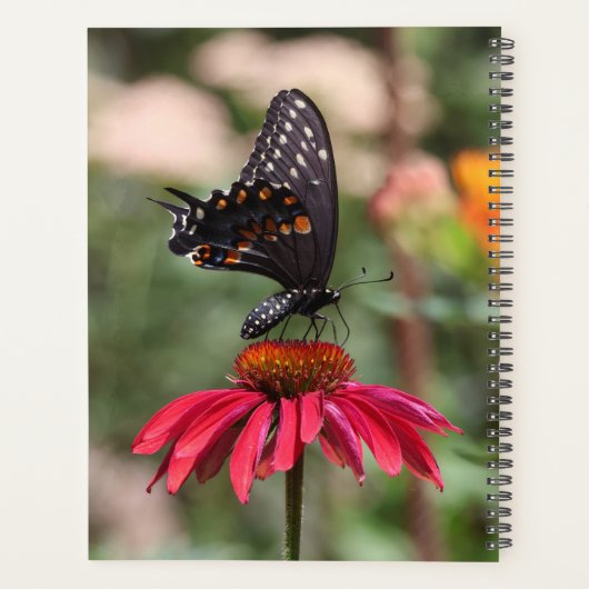 Eastern Black Swallowtail op Cone Flower Planner (Achterkant)