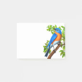 Eastern Bluebird Art Post-It Notes (Voorkant)